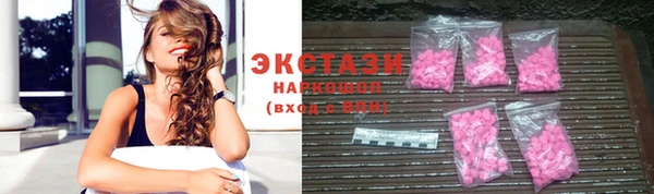 стаф Верея