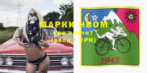 стаф Верея